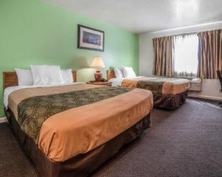 Ameri-Stay Inn & Suites Клирфилд Номер фото